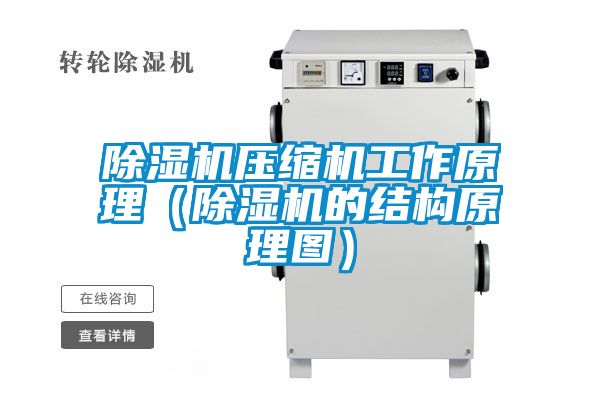 除濕機壓縮機工作原理(除濕機的結構原理圖)