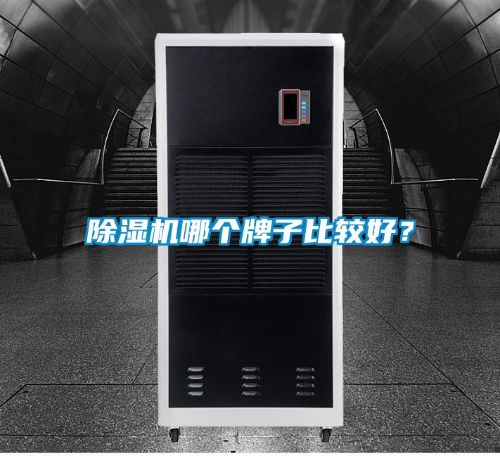 除濕機哪個牌子比較好？