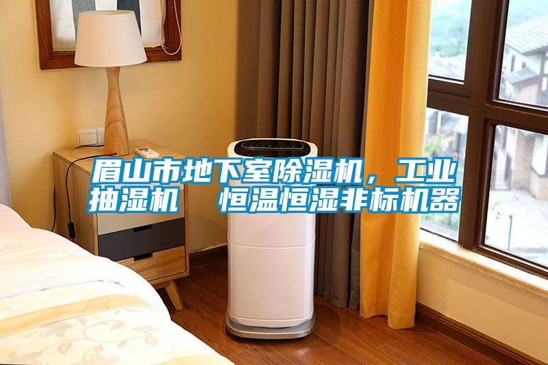 眉山市地下室除濕機，工業抽濕機  恒溫恒濕非標機器
