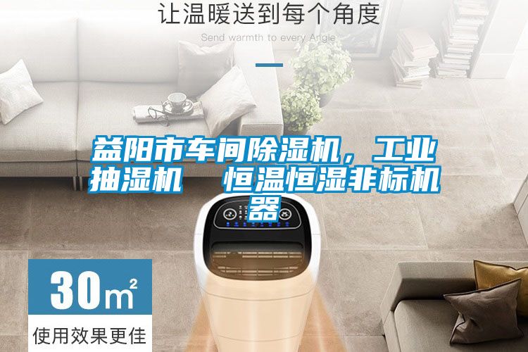 益陽市車間除濕機，工業抽濕機  恒溫恒濕非標機器