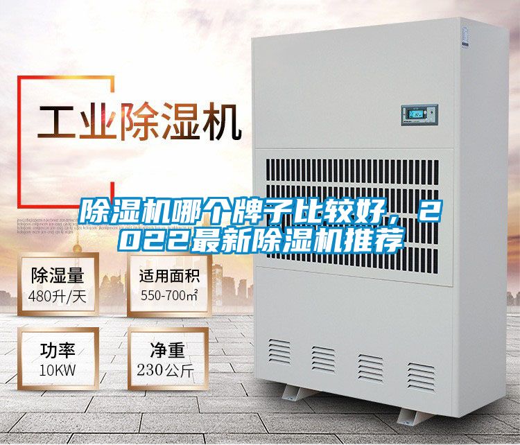 除濕機哪個牌子比較好，2022最新除濕機推薦