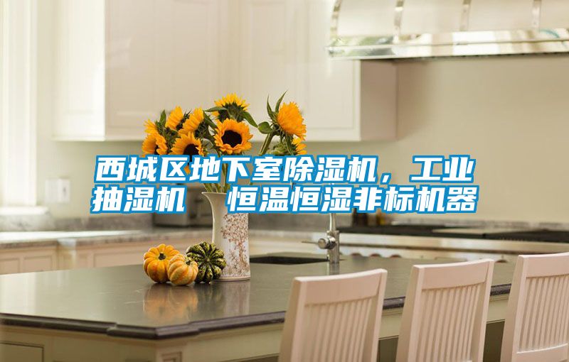 西城區(qū)地下室除濕機,工業(yè)抽濕機 恒溫恒濕非標機器