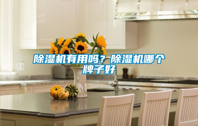 除濕機有用嗎？除濕機哪個牌子好