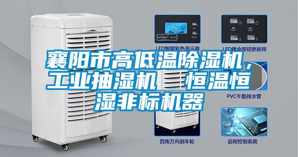 襄陽市高低溫除濕機,工業抽濕機 恒溫恒濕非標機器