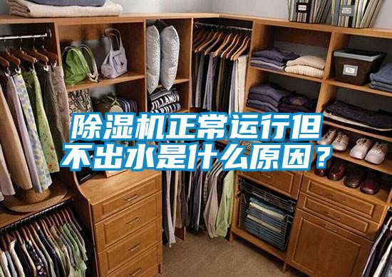 除濕機正常運行但不出水是什么原因？