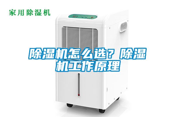 除濕機怎么選？除濕機工作原理