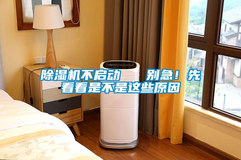 除濕機(jī)不啟動   別急！先看看是不是這些原因