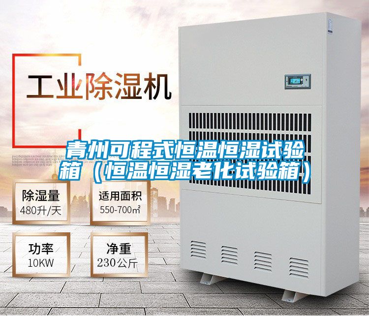 青州可程式恒溫恒濕試驗箱(恒溫恒濕老化試驗箱)