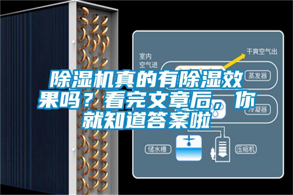 除濕機真的有除濕效果嗎?看完文章后,你就知道答案啦