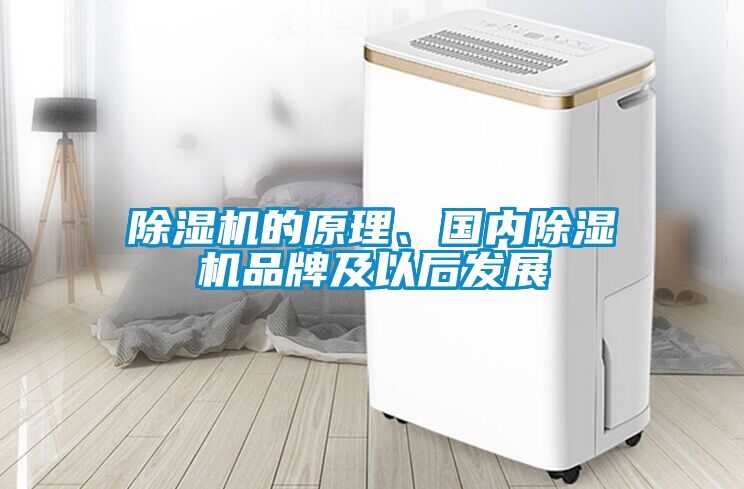 除濕機的原理、國內除濕機品牌及以后發展