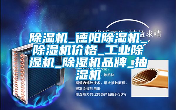除濕機(jī)_德陽除濕機(jī)_除濕機(jī)價格_工業(yè)除濕機(jī)_除濕機(jī)品牌_抽濕機(jī)