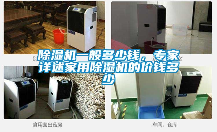 除濕機(jī)一般多少錢,專家詳述家用除濕機(jī)的價(jià)錢多少